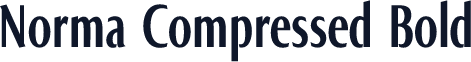 Norma Compressed Bold