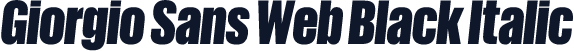 Giorgio Sans Web Black Italic
