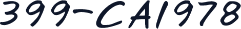 399-CAI978