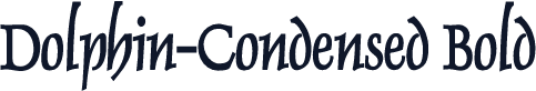 Dolphin-Condensed Bold