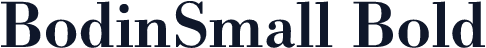 BodinSmall Bold