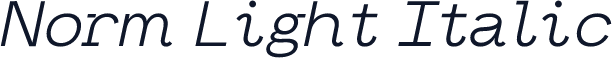 Norm Light Italic