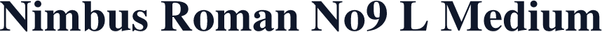Nimbus Roman No9 L Medium