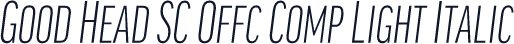 Good Head SC Offc Comp Light Italic
