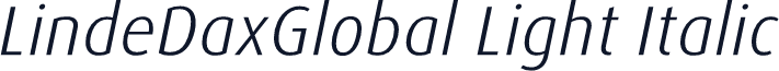 LindeDaxGlobal Light Italic