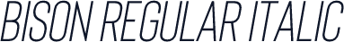 Bison Regular Italic