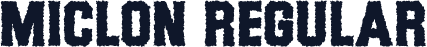 Miclon Regular