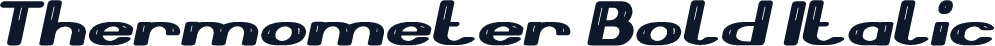 Thermometer Bold Italic