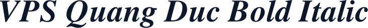 VPS Quang Duc Bold Italic