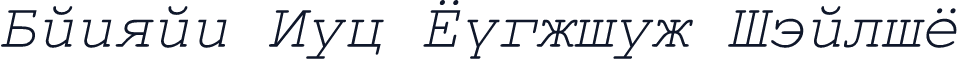 Danzan New Courier Italic