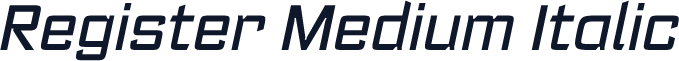 Register Medium Italic