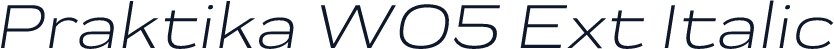 Praktika W05 Ext Italic
