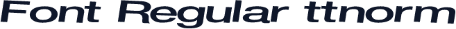 Font Regular ttnorm