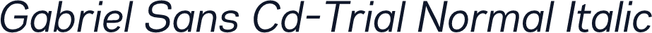 Gabriel Sans Cd-Trial Normal Italic