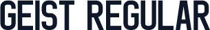 Geist Regular