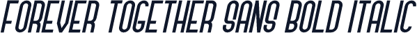 Forever Together Sans Bold Italic