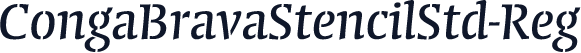 CongaBravaStencilStd-Reg