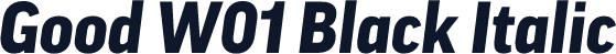 Good W01 Black Italic