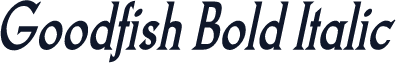 Goodfish Bold Italic