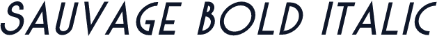 Sauvage Bold Italic