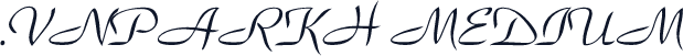.VnParkH Medium