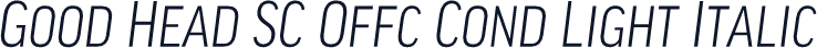 Good Head SC Offc Cond Light Italic