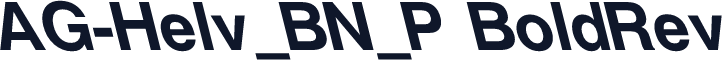 AG-Helv_BN_P BoldRev