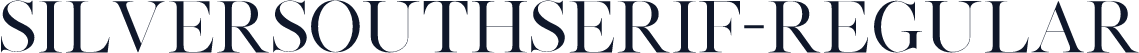 SilverSouthSerif-Regular