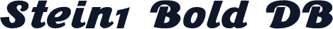 Stein1 Bold DB