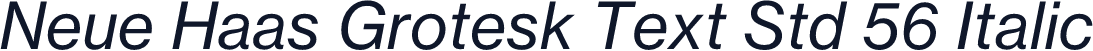 Neue Haas Grotesk Text Std 56 Italic
