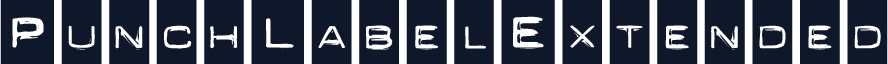 PunchLabelExtended