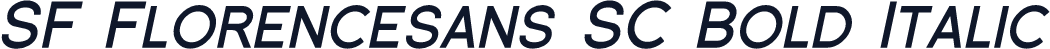 SF Florencesans SC Bold Italic