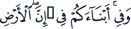 QCF_P256