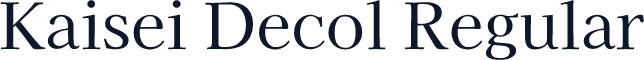 Kaisei Decol Regular