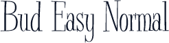 Bud Easy Normal