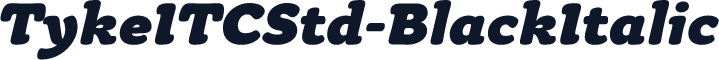 TykeITCStd-BlackItalic
