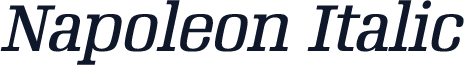 Napoleon Italic