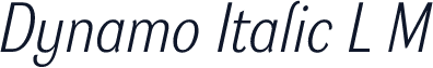 Dynamo Italic L M