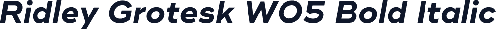 Ridley Grotesk W05 Bold Italic