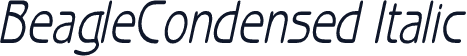 BeagleCondensed Italic