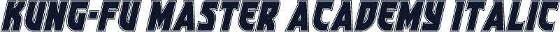 Kung-Fu Master Academy Italic