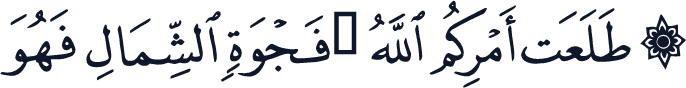 QCF_P295