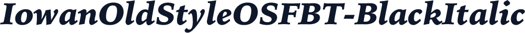 IowanOldStyleOSFBT-BlackItalic