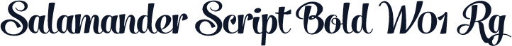 Salamander Script Bold W01 Rg