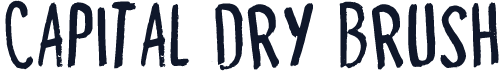 Capital Dry Brush