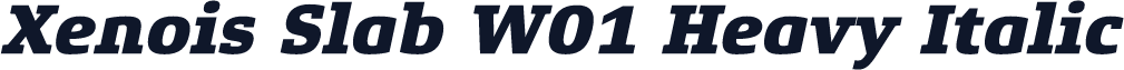 Xenois Slab W01 Heavy Italic