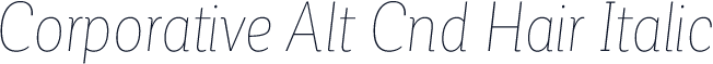 Corporative Alt Cnd Hair Italic