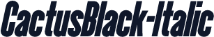 CactusBlack-Italic