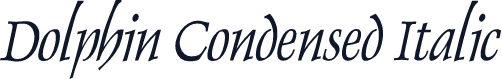 Dolphin Condensed Italic