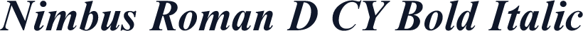 Nimbus Roman D CY Bold Italic